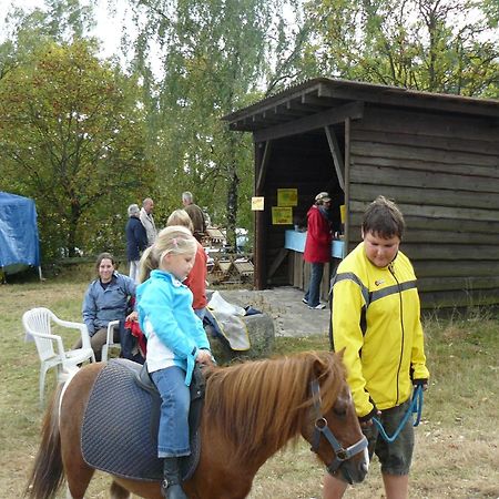 Holiday Home In Wietzendorf In The L Neburg Heath With A View Of The Countryside Kültér fotó