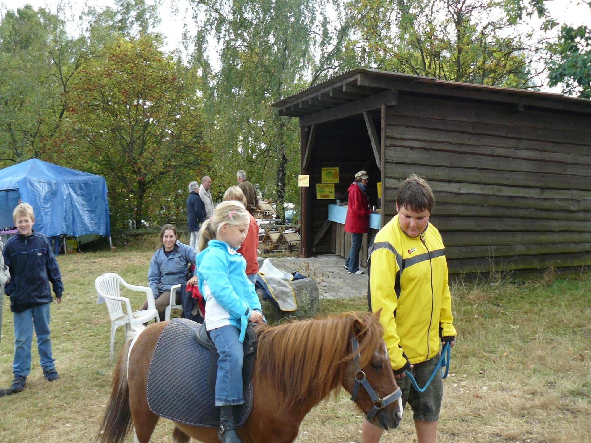 Holiday Home In Wietzendorf In The L Neburg Heath With A View Of The Countryside Kültér fotó