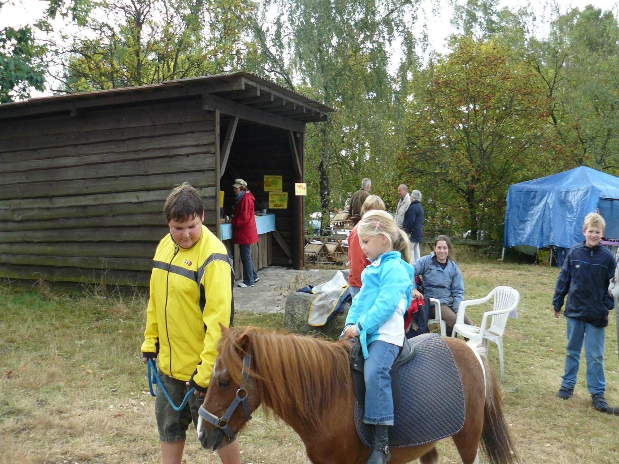 Holiday Home In Wietzendorf In The L Neburg Heath With A View Of The Countryside Kültér fotó
