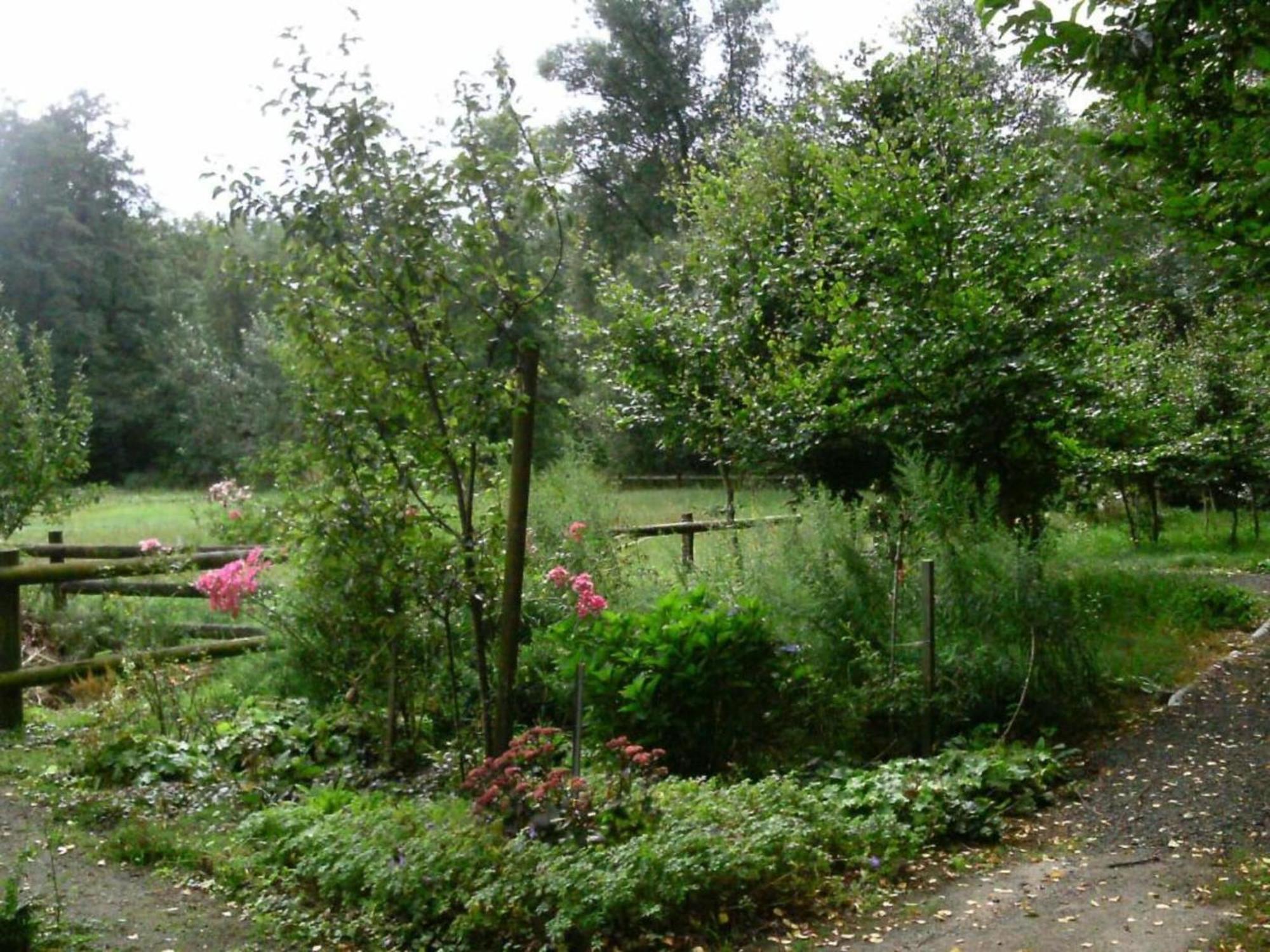 Holiday Home In Wietzendorf In The L Neburg Heath With A View Of The Countryside Kültér fotó